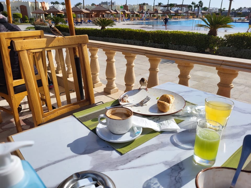 Gastro SUNRISE Royal Makadi Resort