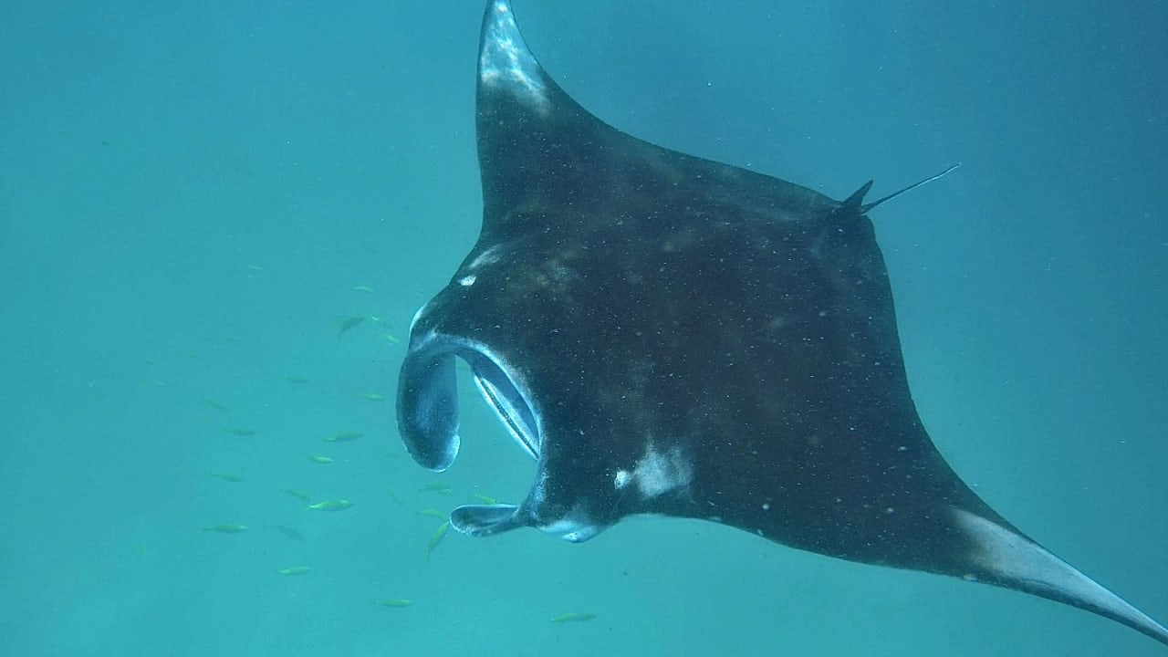 Sport & Freizeit NH Collection Maldives Reethi Resort