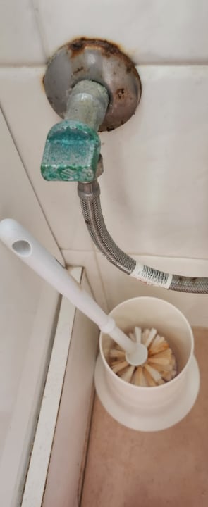 Zimmer Castillo Club Lake