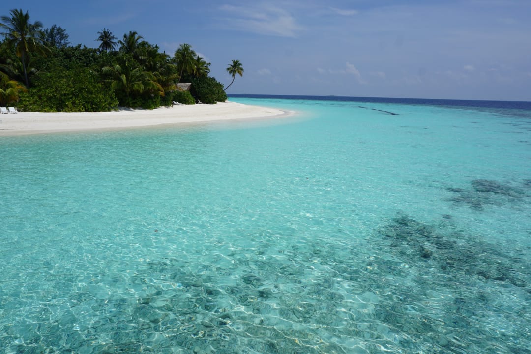 Strand Safari Island Maldives