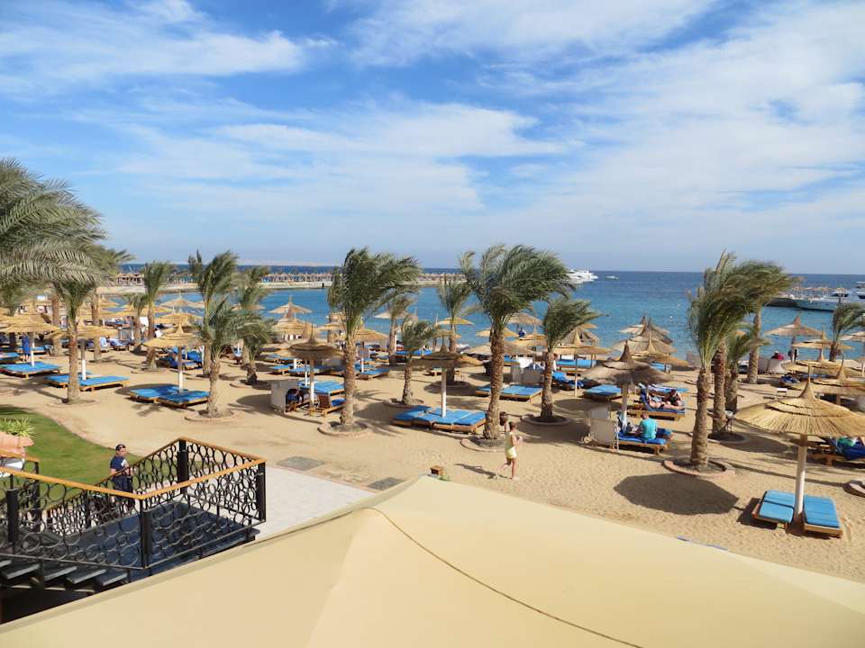 Strandabschnitt Beach Albatros Resort