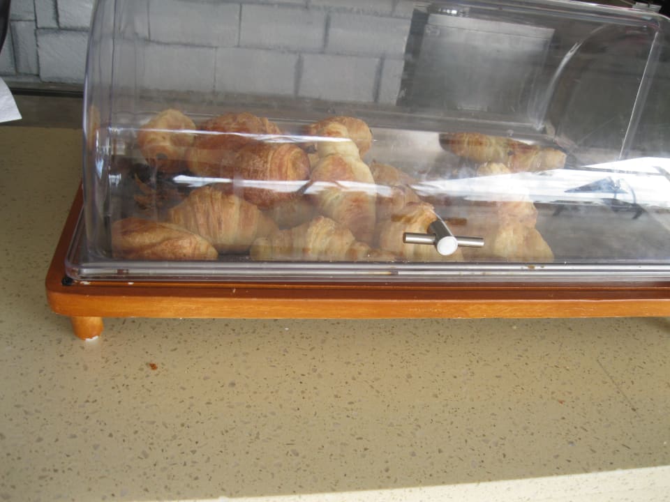 Gastro Hotel Viva Dominicus Beach by Wyndham - All Inclusive Resort