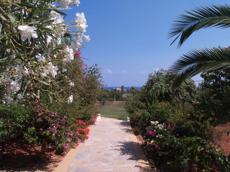 Tuin TUI SUNEO Chrissi Amoudia