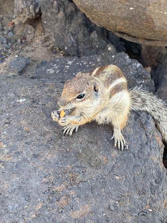 Außenansicht SBH Hotel Taro Beach