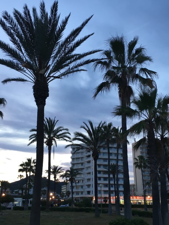 Außenansicht Hipotels Hipocampo