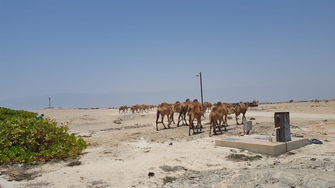 Außenansicht Wyndham Garden Salalah Mirbat