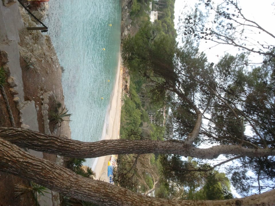 Strand Iberostar Waves Pinos Park