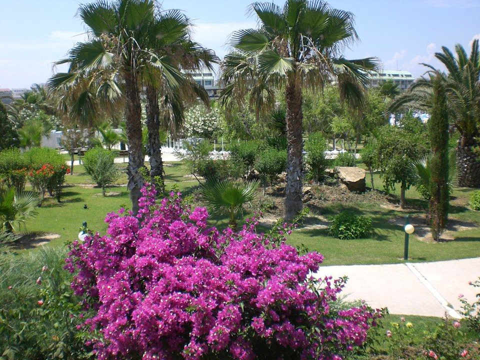 Garten VONRESORT Golden Coast