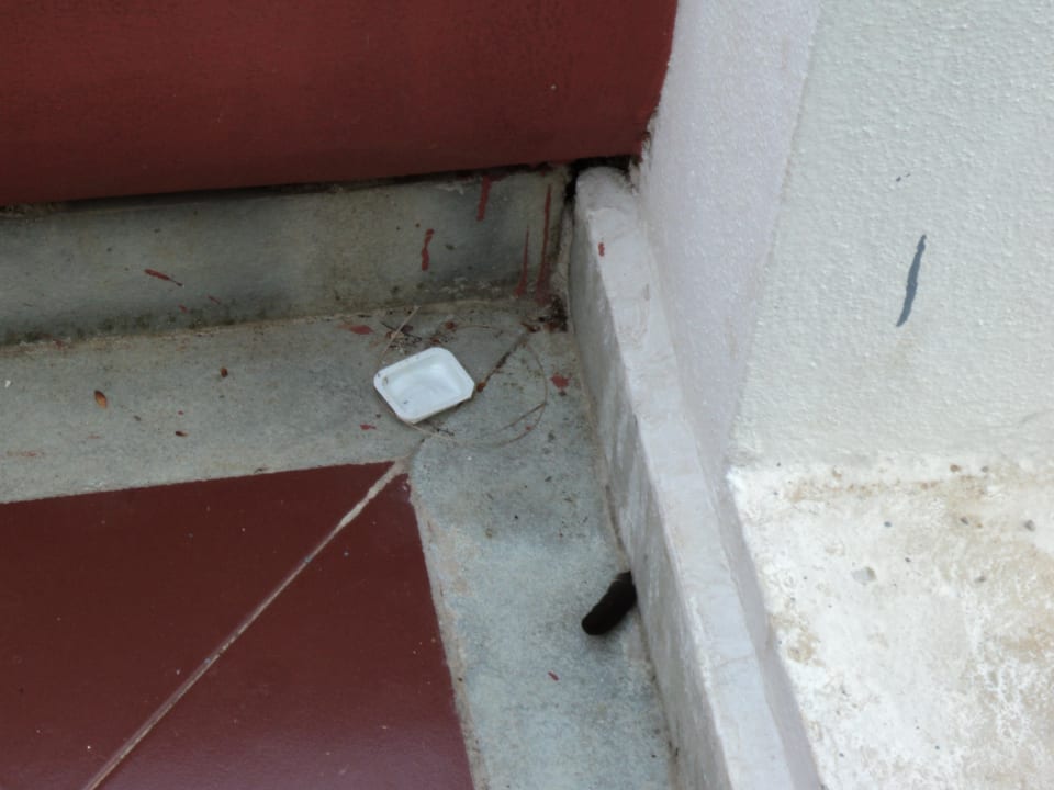 Terrasse Zimmer  Novotel Goa Dona Sylvia Resort