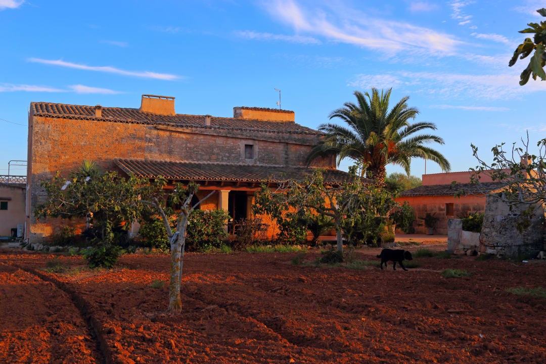 Außenansicht Finca Sa Punta Ses Salines