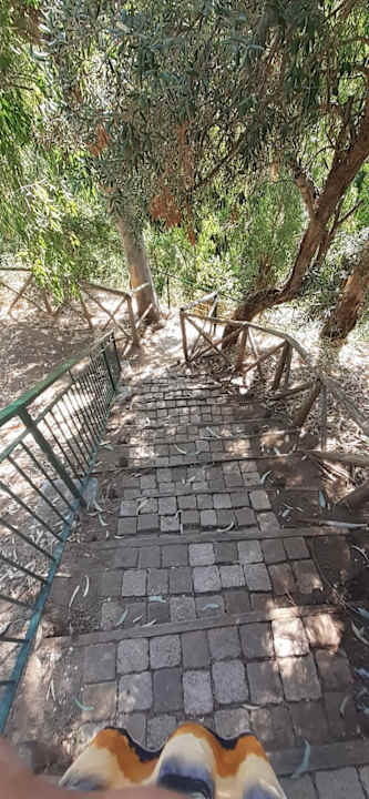 Sonstiges TUI BLUE Tropea