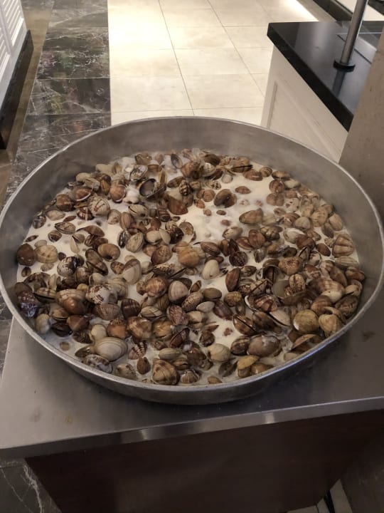 Gastro Well Palace Side