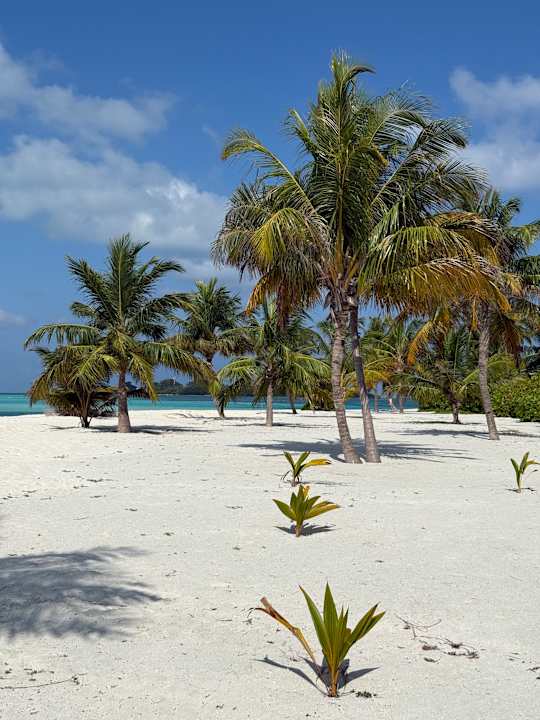 Strand Le Meridien Maldives Resort & Spa