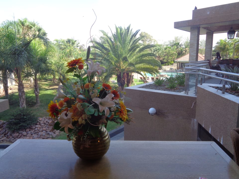 Ausblick Safari Court Hotel