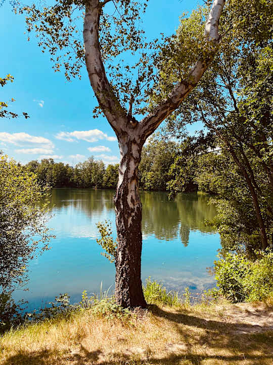 Außenansicht See Park Janssen