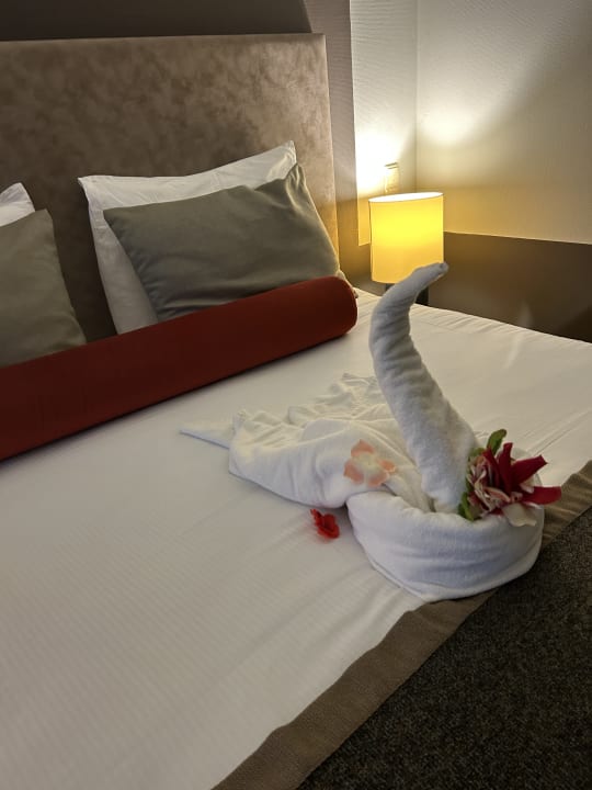 Zimmer PALOMA Perissia