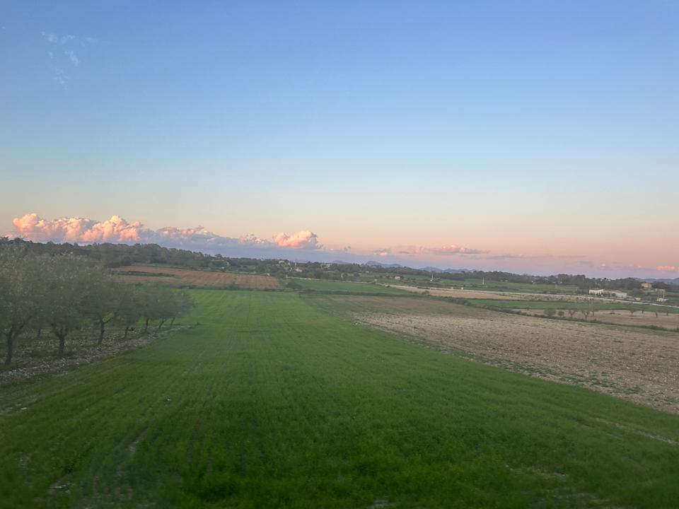 Ausblick Aumallia Hotel & Spa