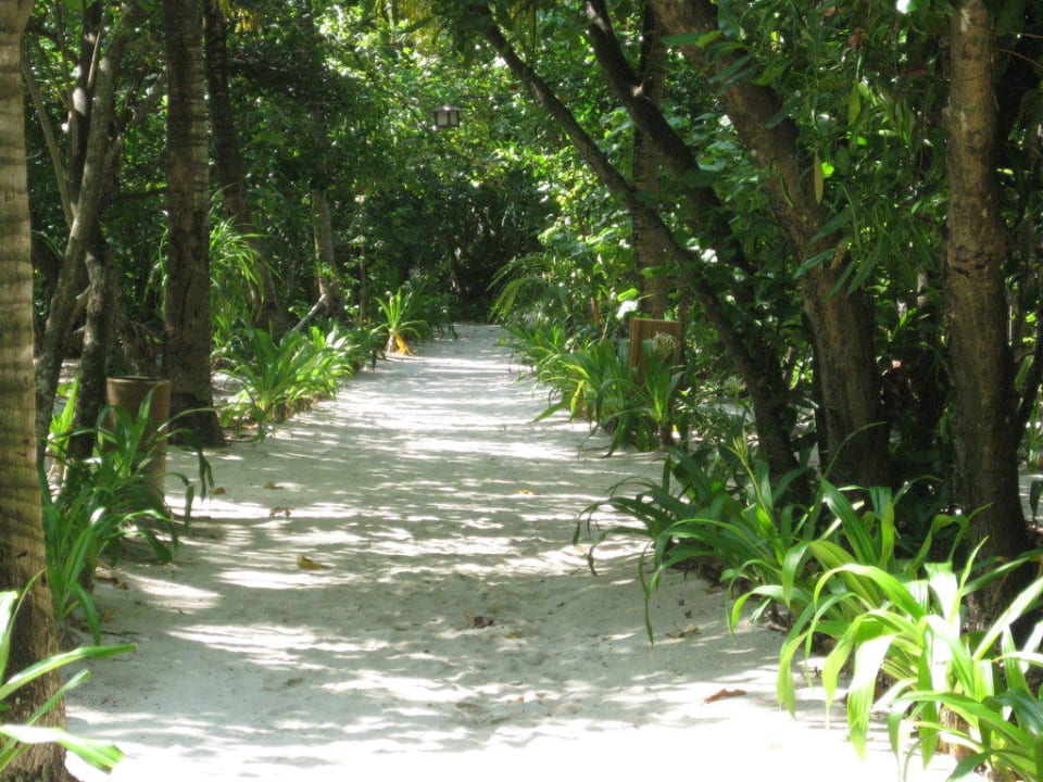 Wege Reethi Beach NH Collection Maldives Reethi Resort