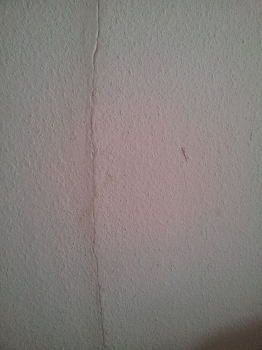 Wohnzimmerwand I.v.Bodman-Ferienwohnungen