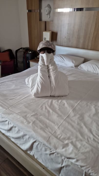 Zimmer Hotel Botanik Platinum