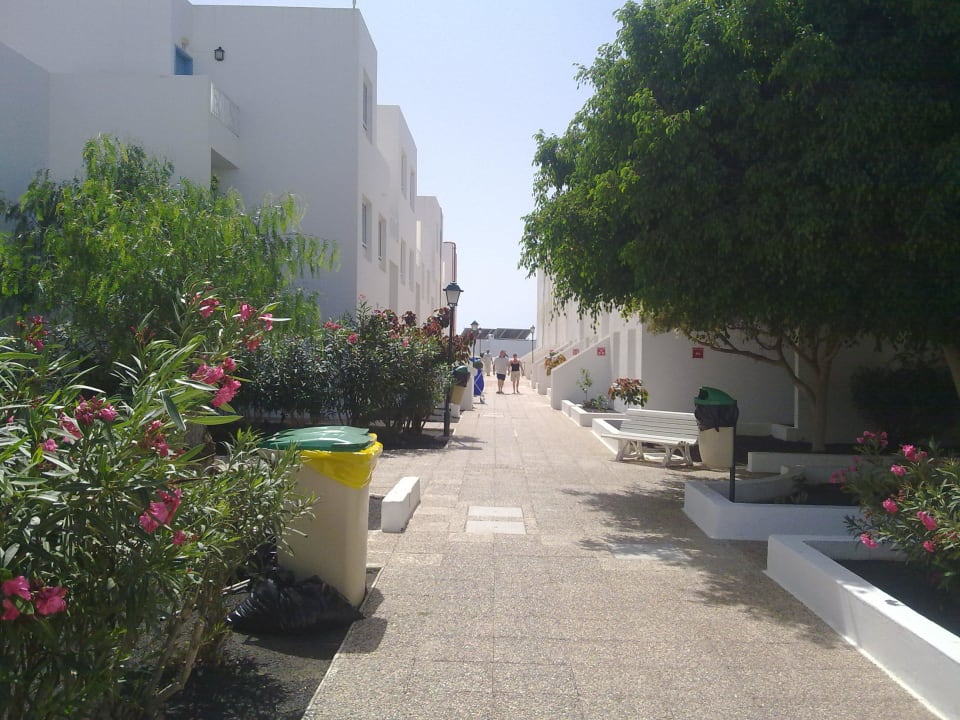 Zugang zu den App. Sentido Aequora Lanzarote Suite