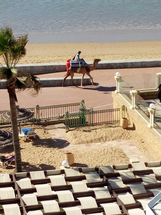 Strand Atlas Amadil Beach Hotel