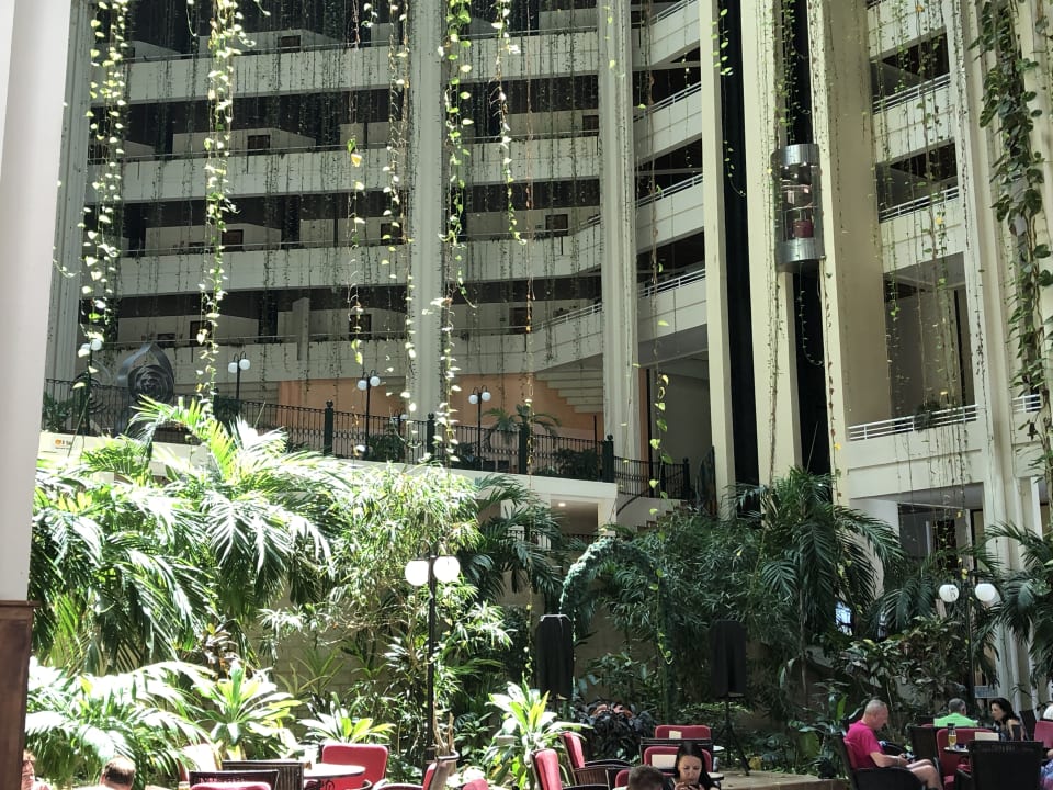 Sonstiges Blau varadero - Adults only