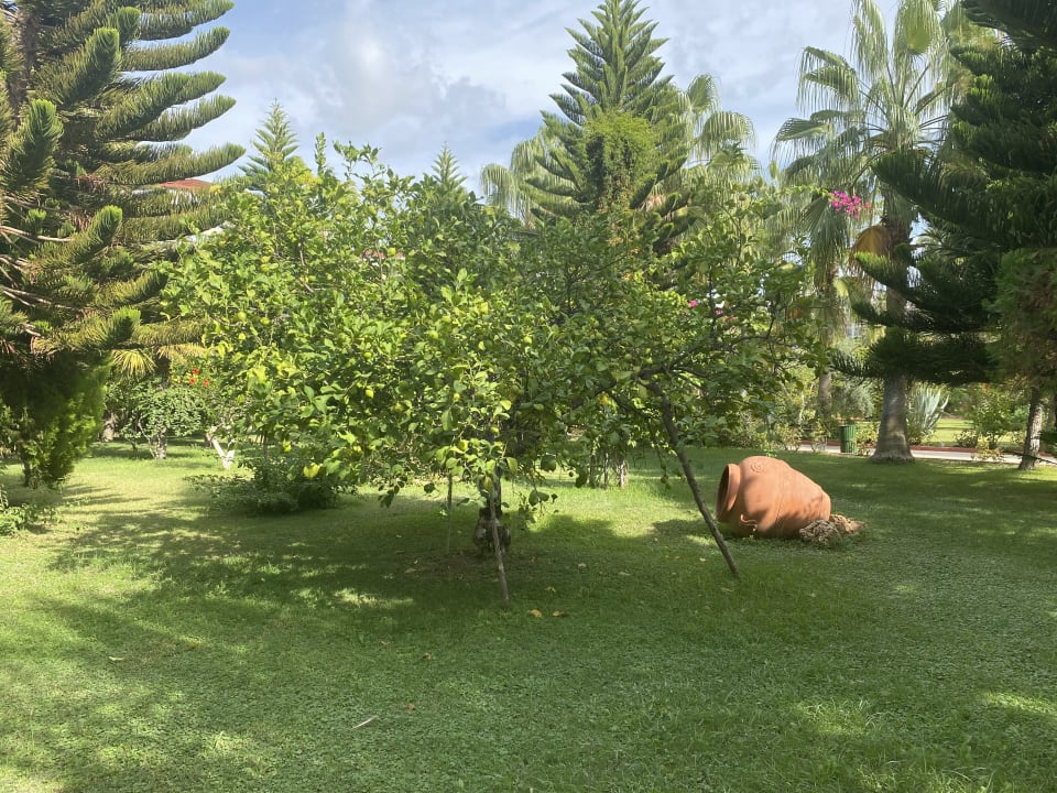 Gartenanlage Saphir Resort & Spa