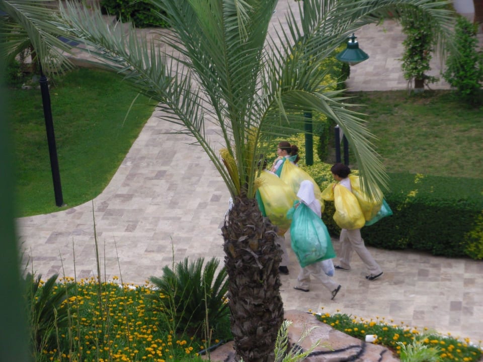 Abtransport der Schmutzwäsche Crystal Paraiso Aqua Collection