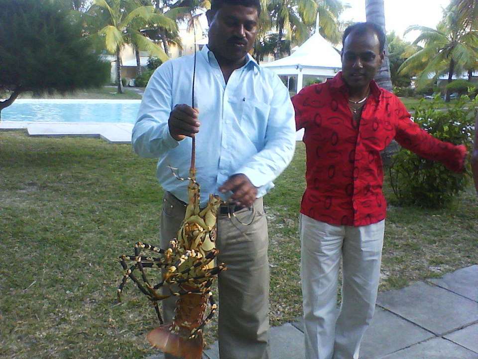 Frischer Lobster Holiday Resort Villa Thalassa