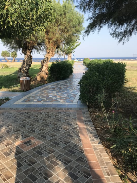 Gartenanlage Atrium Palace Thalasso Spa Resort & Villas