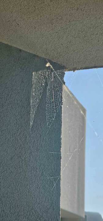 Zimmer Arina Beach Resort