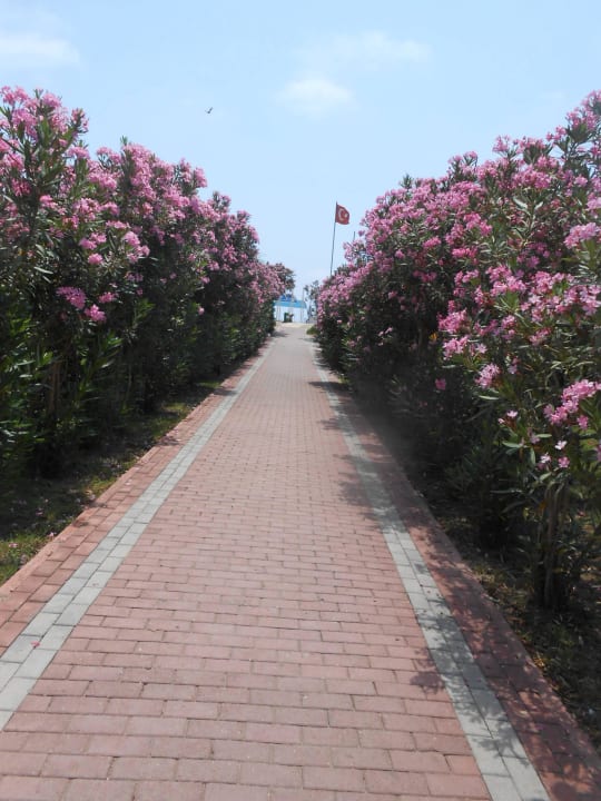 Weg zum Strand Seaden Sea World Resort & Spa