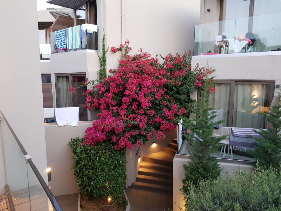 Gartenanlage Nefeli Hotel Rethymno