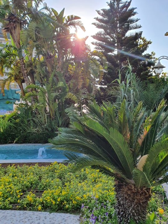 Gartenanlage Hotel Delphin Imperial