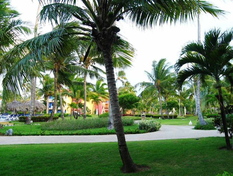 Poolblick aus dem Zimmer Punta Cana Princess All Suites Resort & Spa