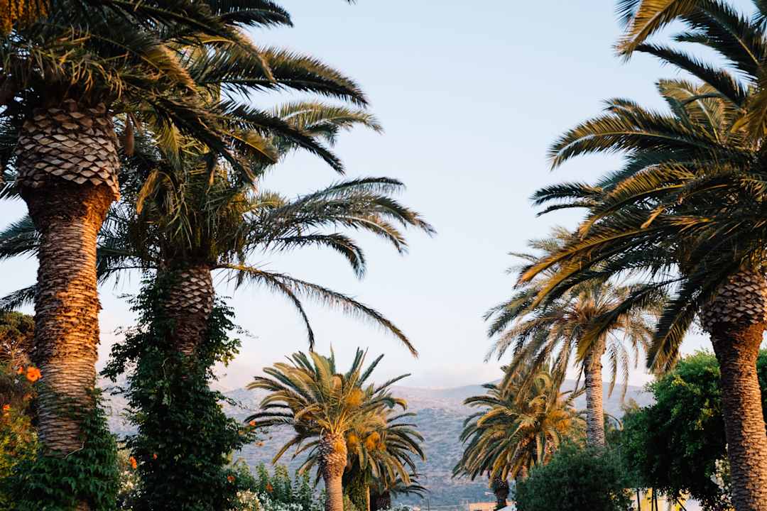 Außenansicht Phãea Cretan Malia