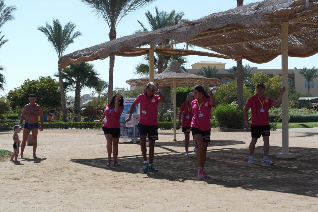 Такие заводилы Desert Rose