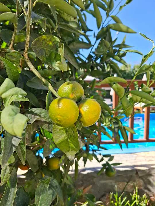 Gartenanlage Arnor de Luxe Hotel & Spa