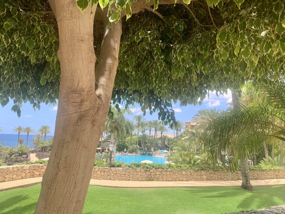 Gartenanlage R2 Rio Calma Hotel & Spa & Conference