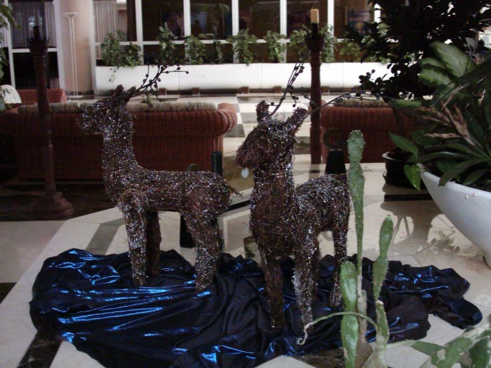 Halle 01 Melia La Palma Hotel