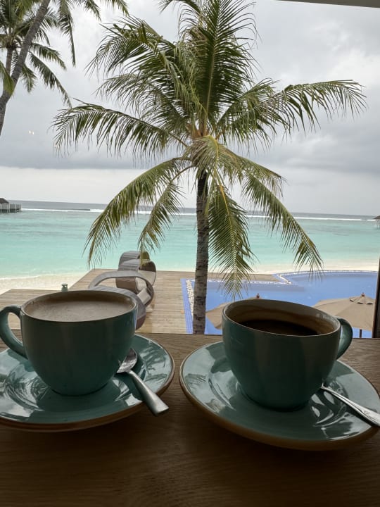 Pool TUI BLUE Olhuveli Romance