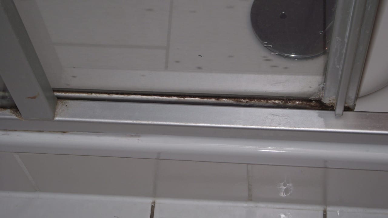 Bad mit Schimmel Ferienwohnungen Ferienpark Weissenhäuser Strand