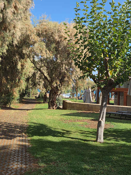 Außenansicht Phãea Cretan Malia