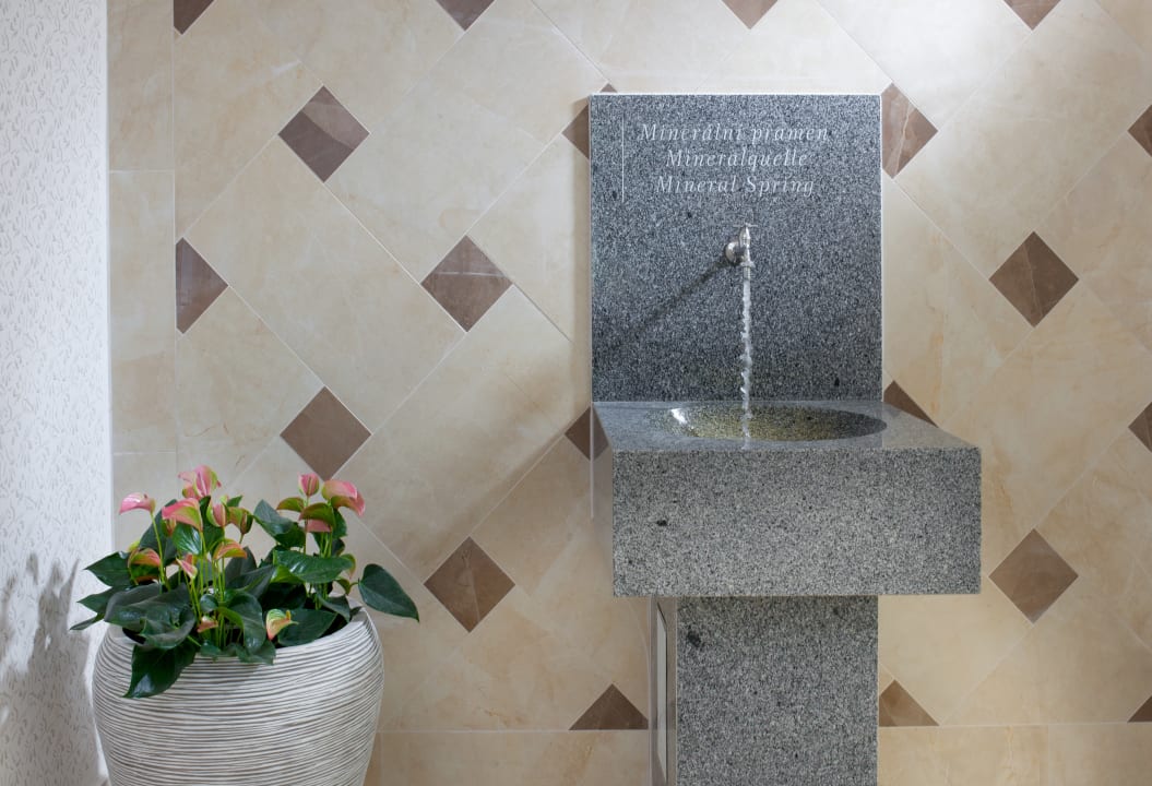 Lobby Badenia Hotel Praha