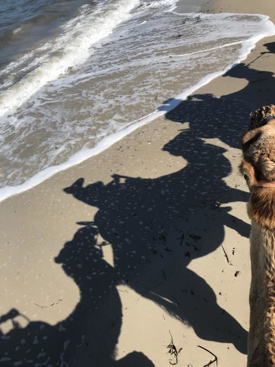 Strand Caribbean World Thalasso Djerba