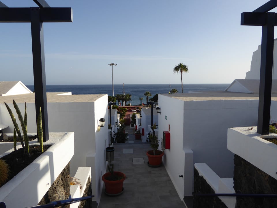 Ausblick Bungalows & Appartements Playamar