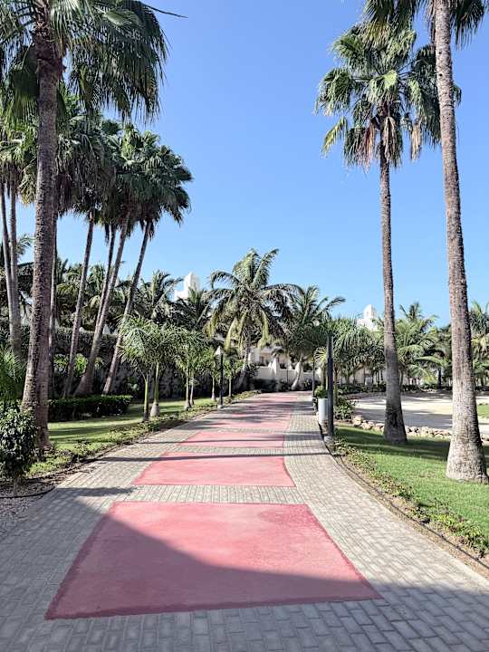 Gartenanlage Hotel Riu Karamboa