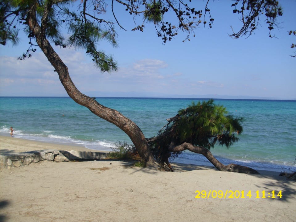 Strand in der Nähe des Hotels Hotel Sousouras