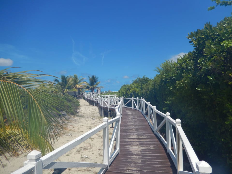 Zugang zum Strand Melia Las Dunas